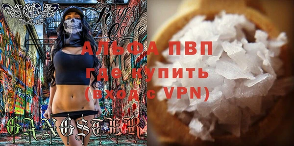 твердый Инсар