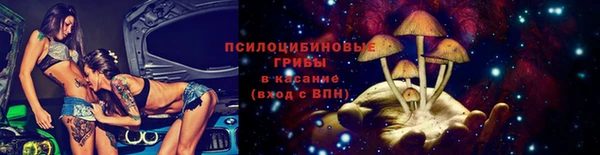 mix Инта