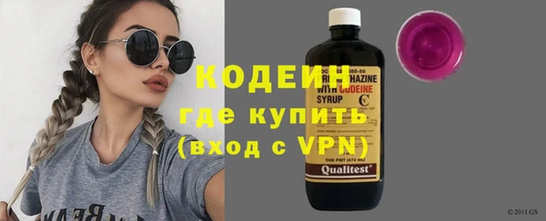 mix Инта