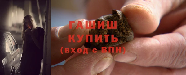 mix Инта
