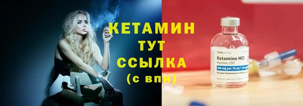 твердый Инсар