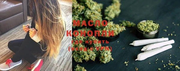 скорость Каменка