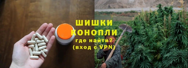 твердый Инсар