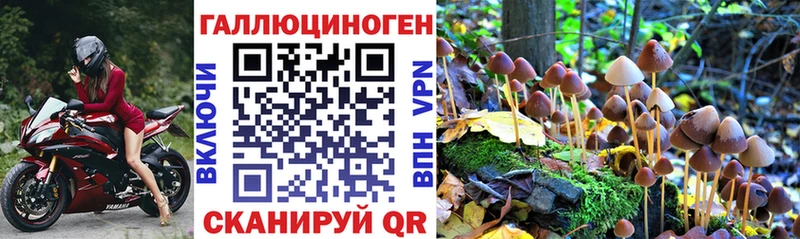 Псилоцибиновые грибы ЛСД  Купить закладки  Нарьян-Мар 